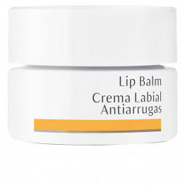 Dr. Hauschka Lip Balm 