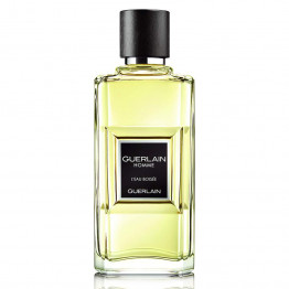 Guerlain perfume Homme L'Eau Boisée 