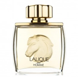 Lalique perfume Pour Homme Equus
