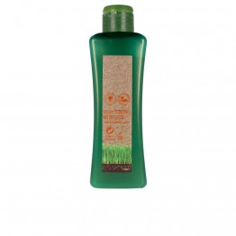 Salerm Biokera For Treated Hair Shampoo