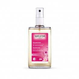 Weleda Rosa Mosqueta Desodorizante 24H Spray